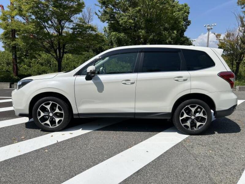 FORESTER