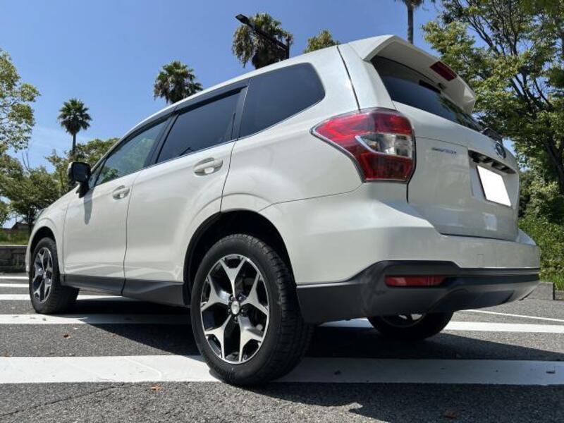 FORESTER
