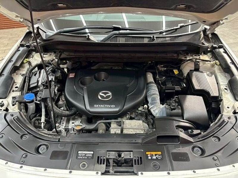 CX-8