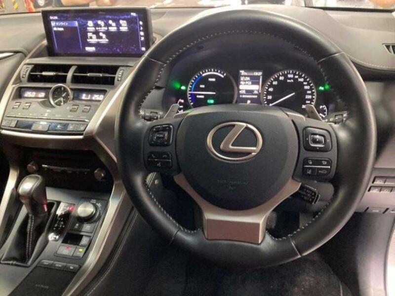NX