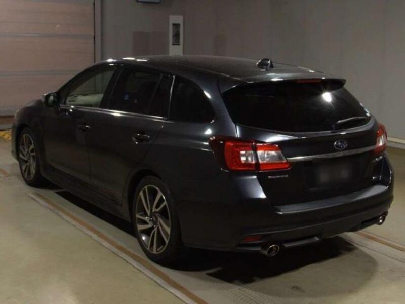 LEVORG