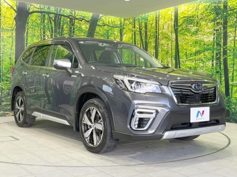 FORESTER