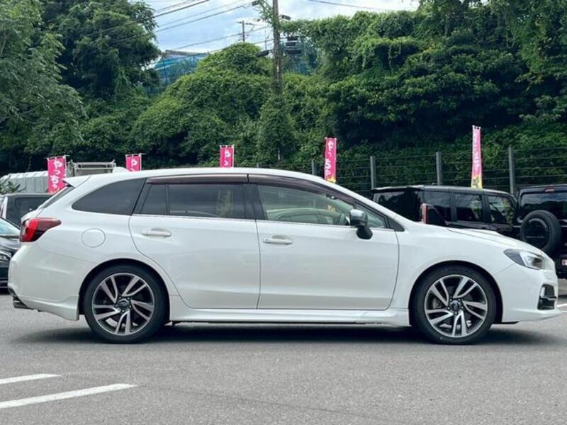 LEVORG