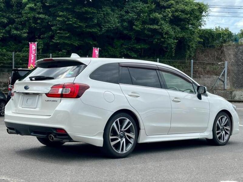 LEVORG