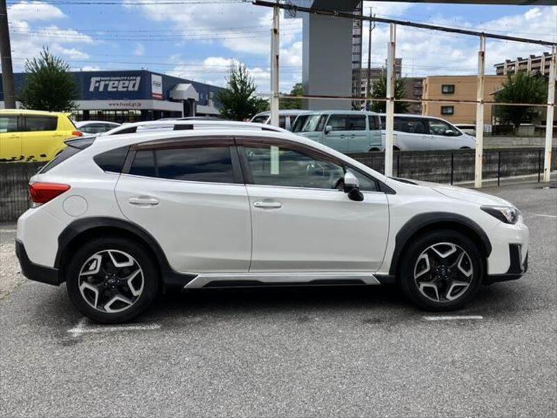 XV