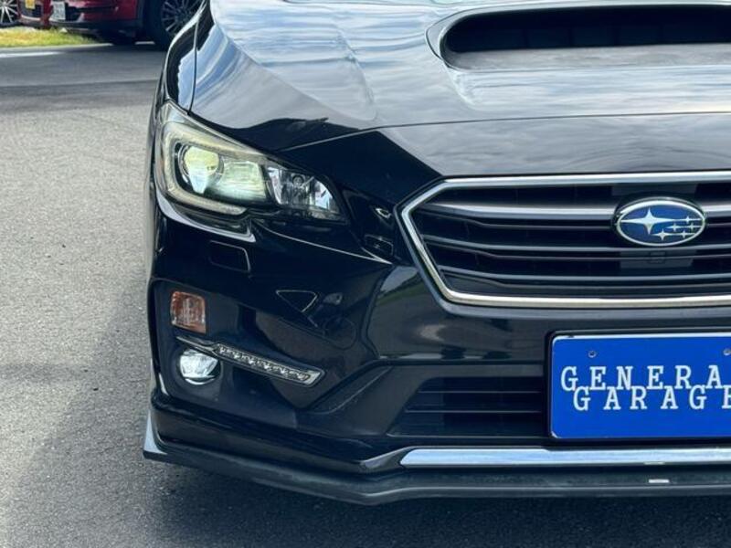 LEVORG