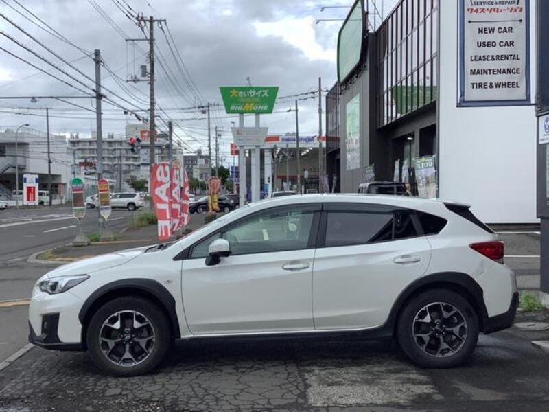 XV