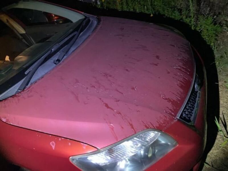 COROLLA FIELDER