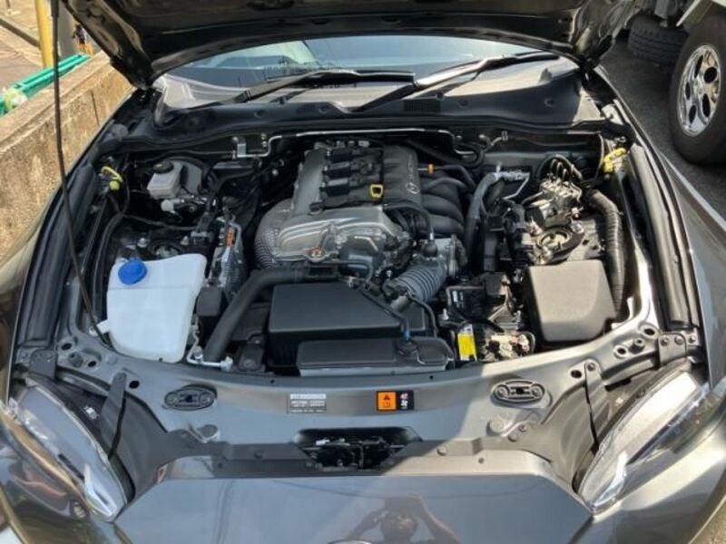 ROADSTER RF