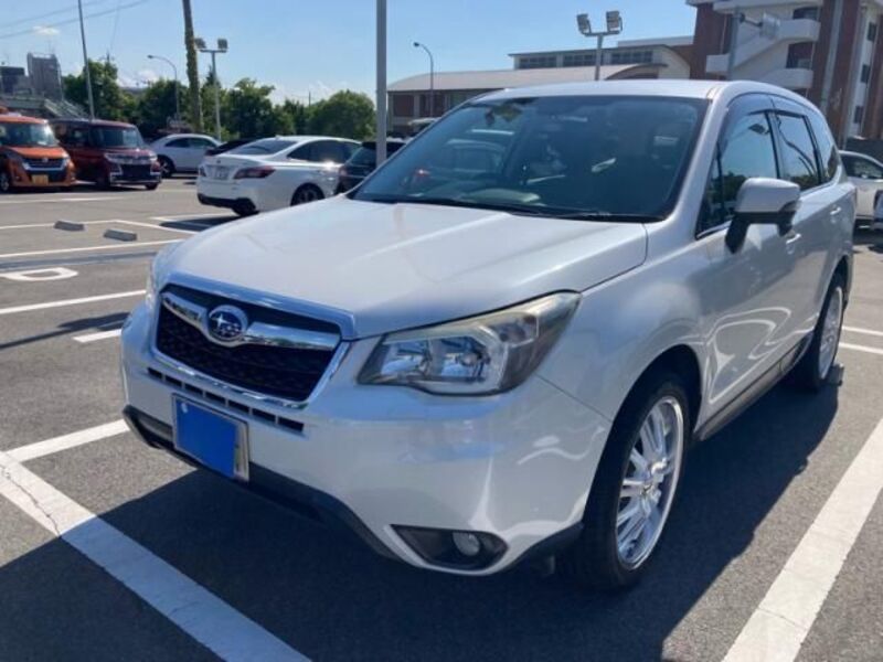 FORESTER