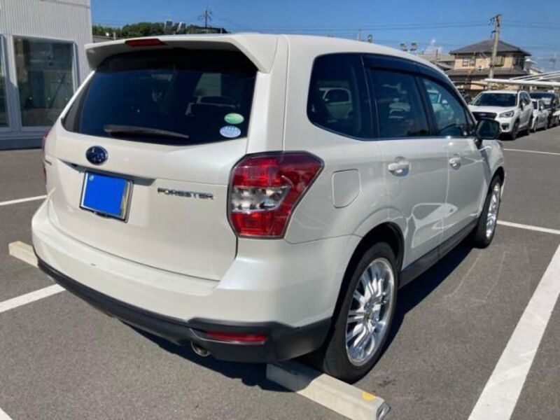 FORESTER