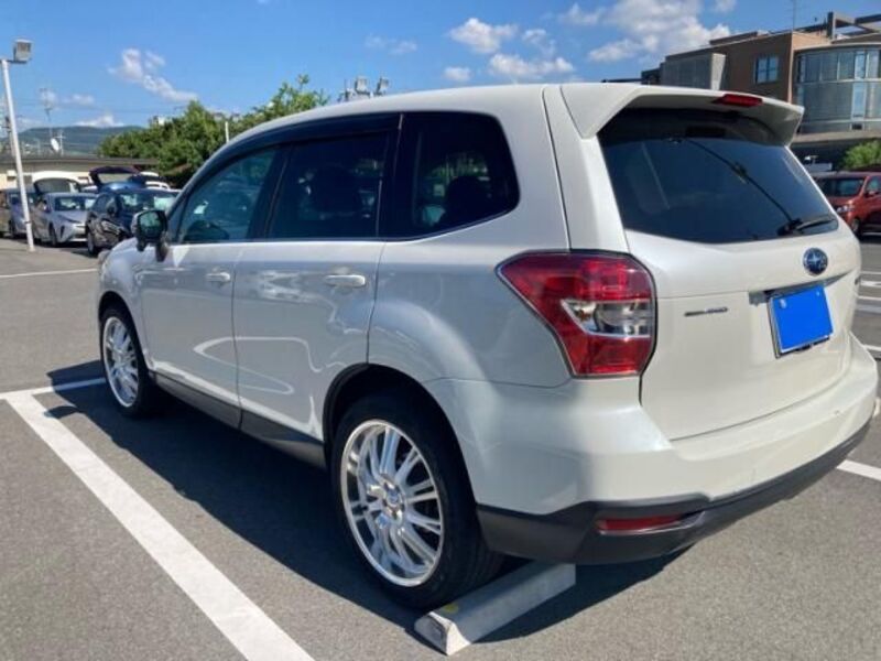 FORESTER