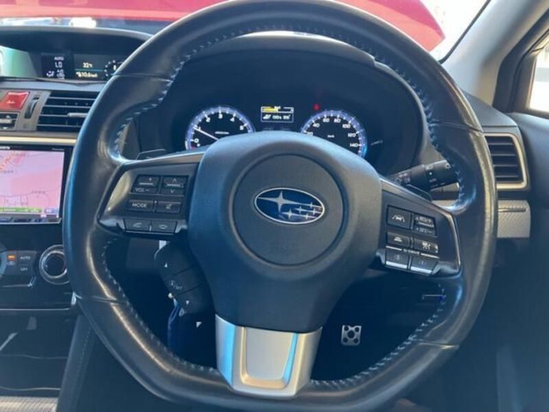 LEVORG