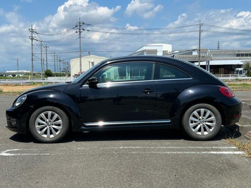 THE BEETLE