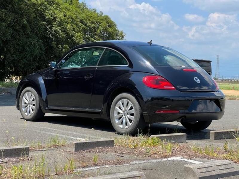 THE BEETLE