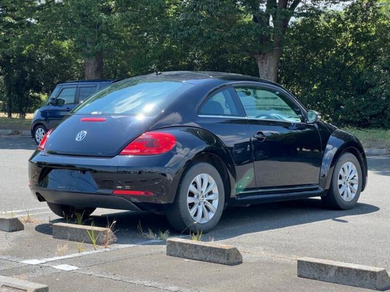 THE BEETLE
