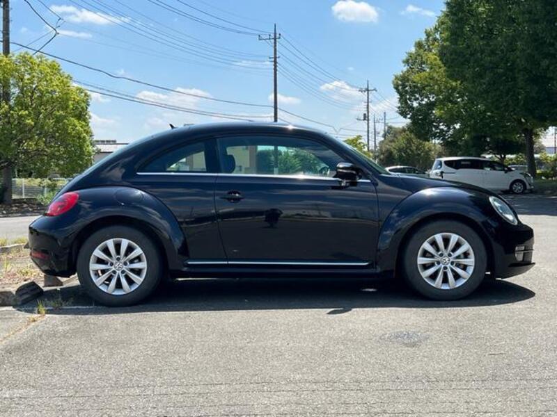 THE BEETLE