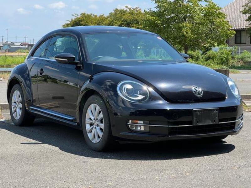 THE BEETLE