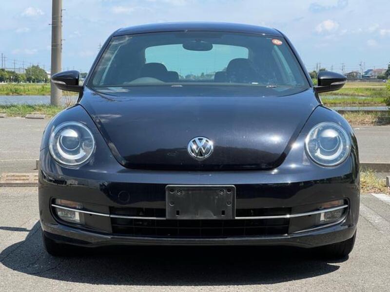 THE BEETLE