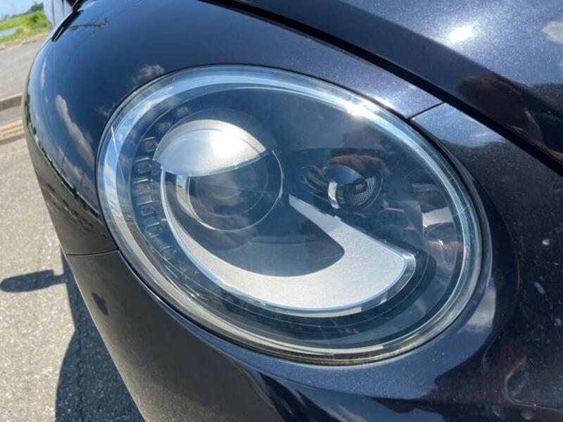 THE BEETLE