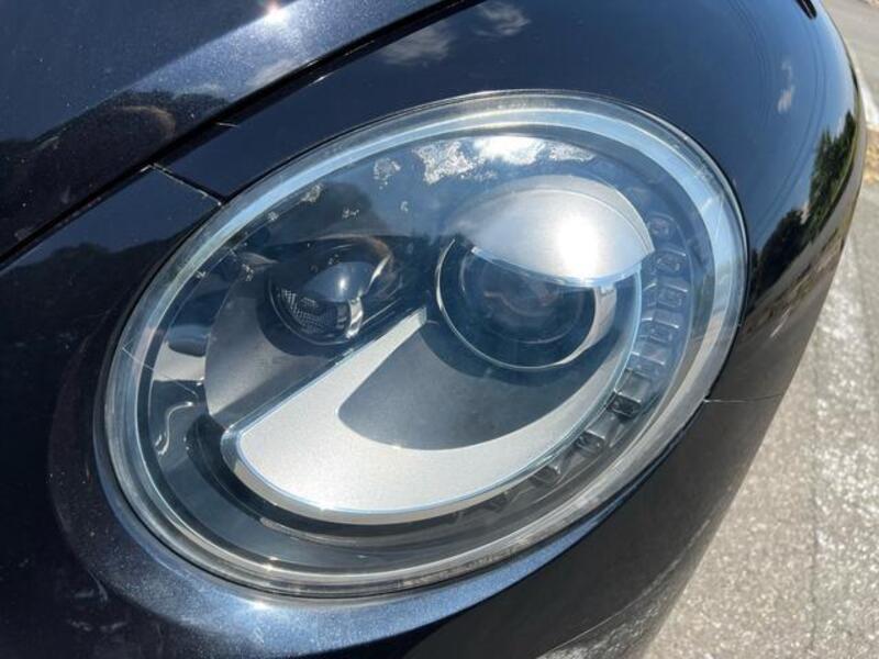 THE BEETLE