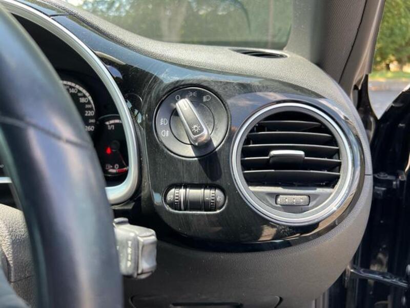 THE BEETLE