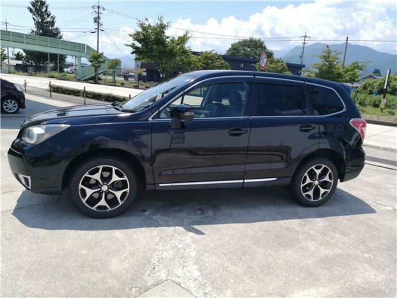 FORESTER
