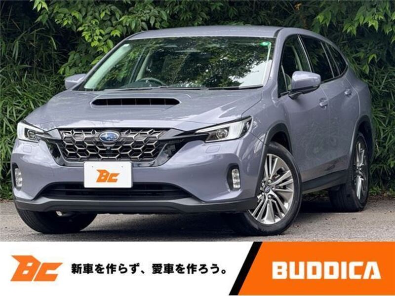LEVORG-0