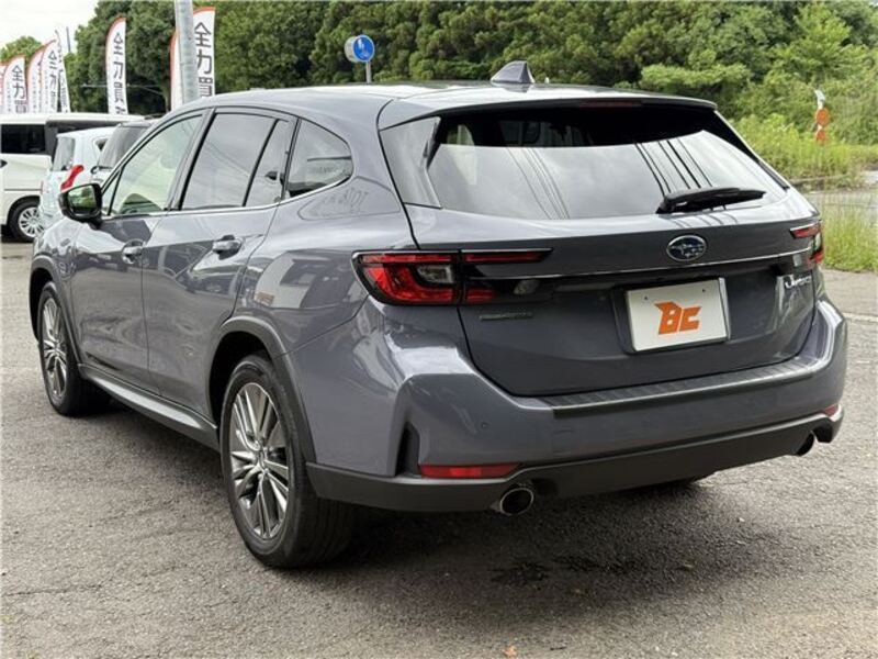 LEVORG