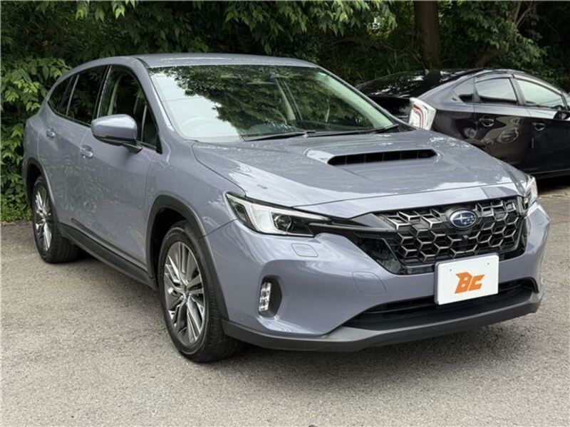 LEVORG