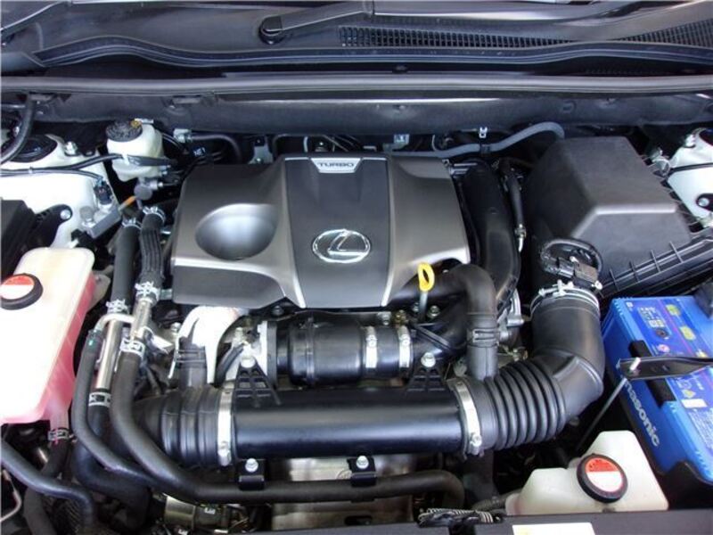 NX