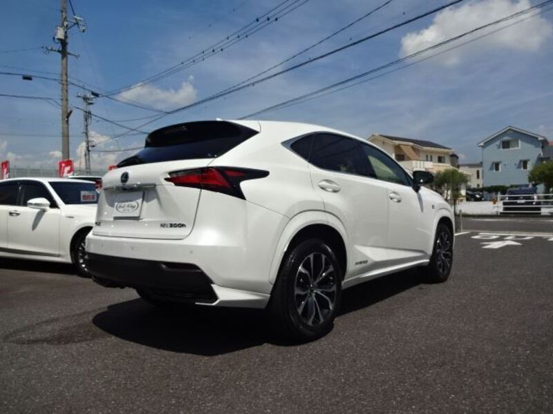 NX