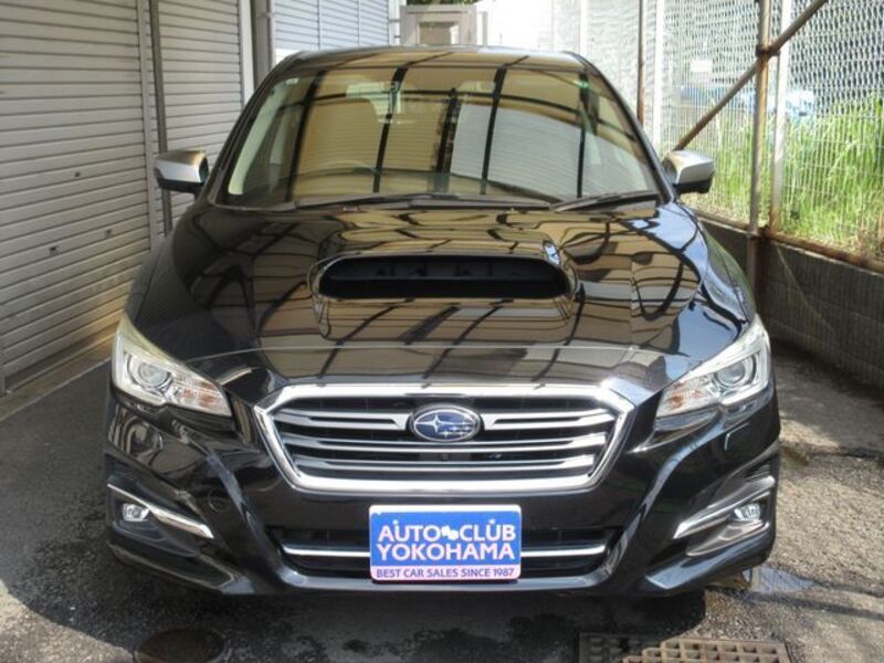 LEVORG