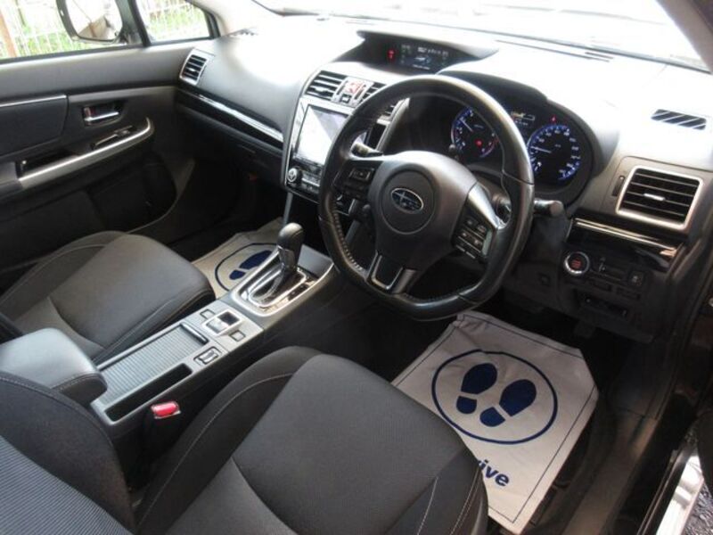 LEVORG