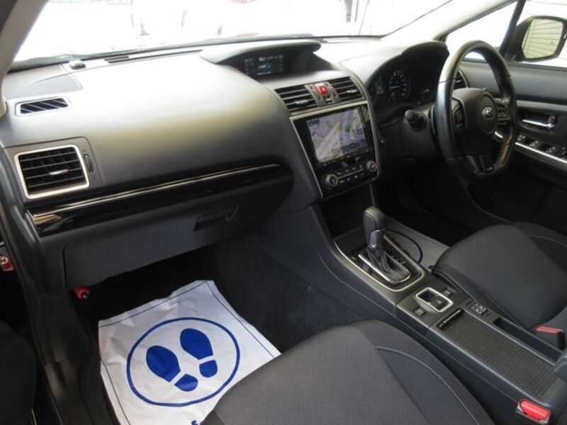 LEVORG