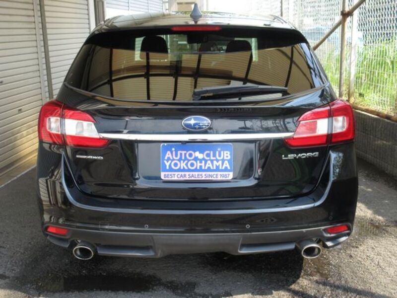 LEVORG