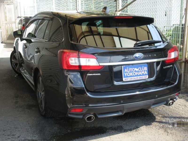 LEVORG