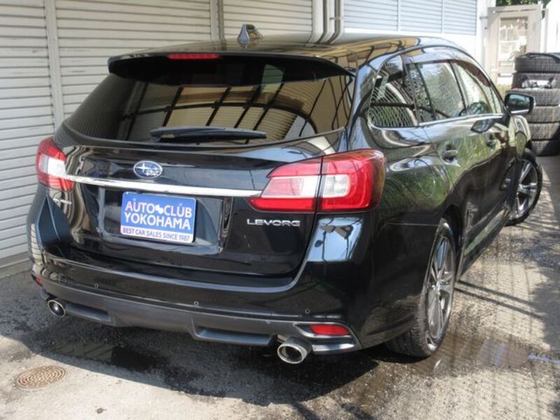 LEVORG