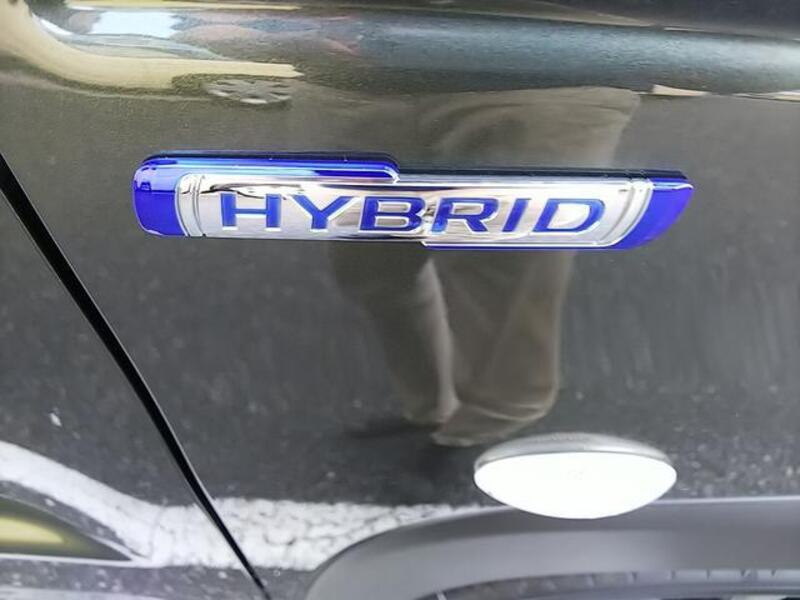 HUSTLER