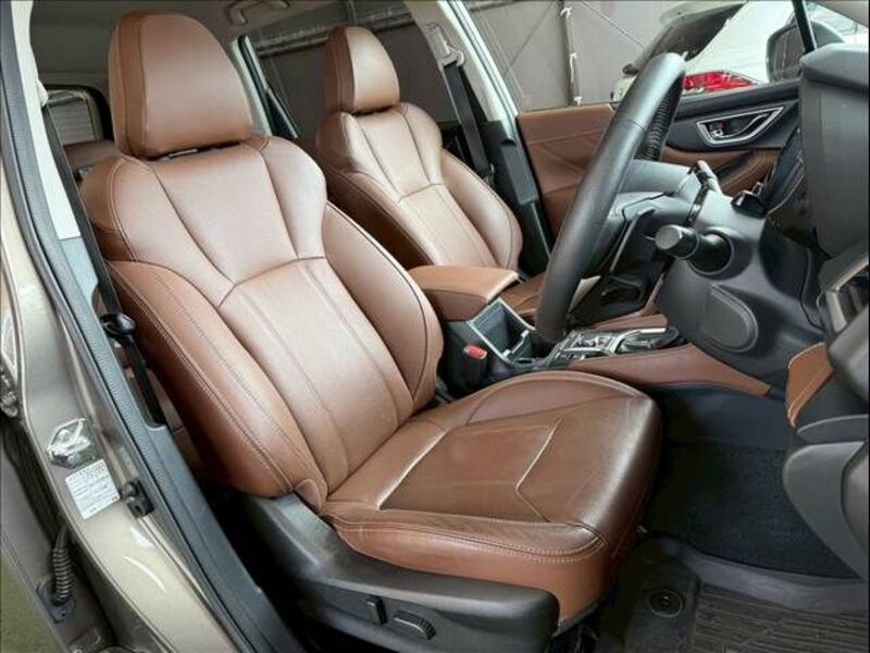 FORESTER