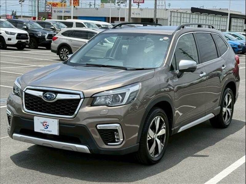 FORESTER