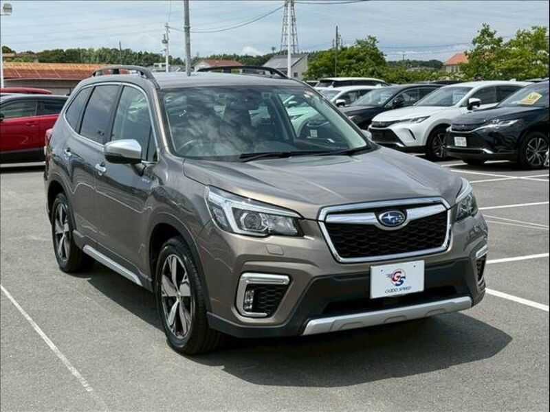 FORESTER