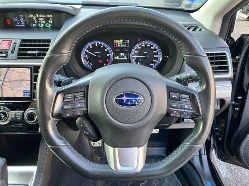 LEVORG