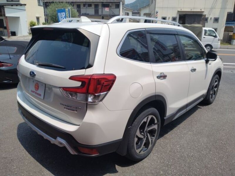 FORESTER