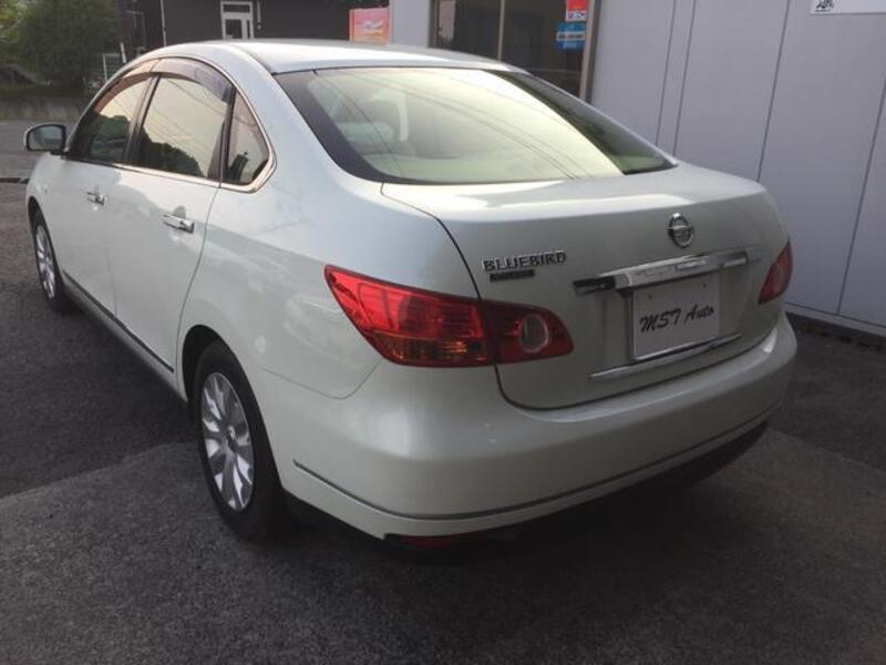 BLUEBIRD SYLPHY