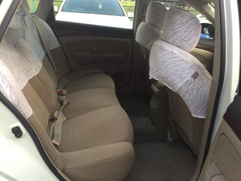 BLUEBIRD SYLPHY