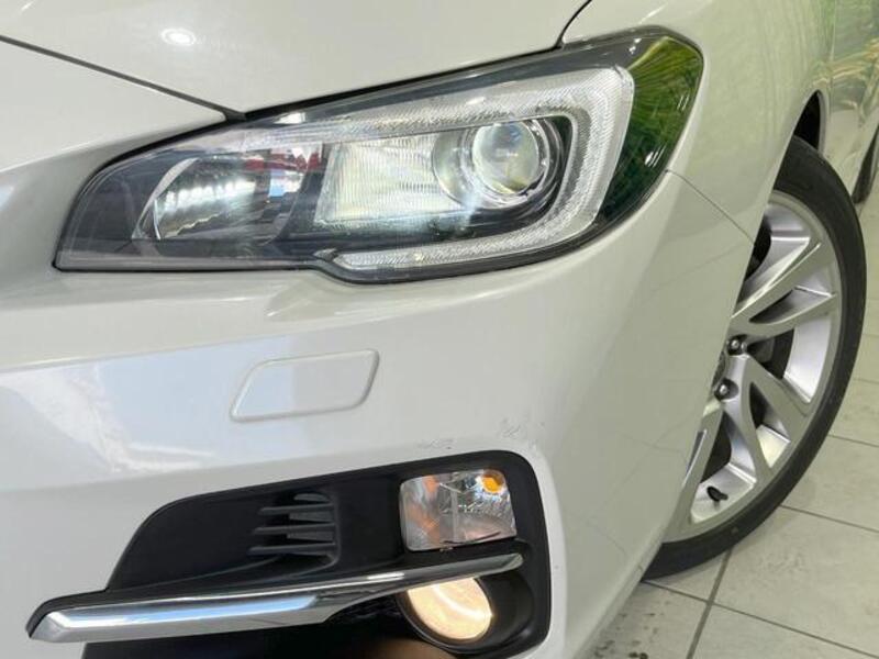 LEVORG
