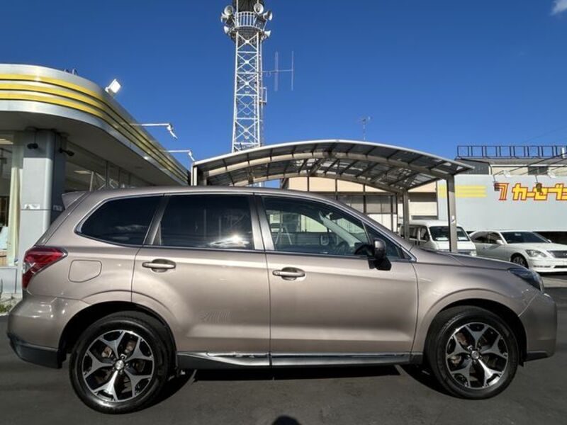 FORESTER