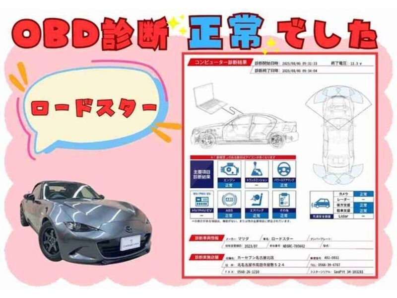ROADSTER