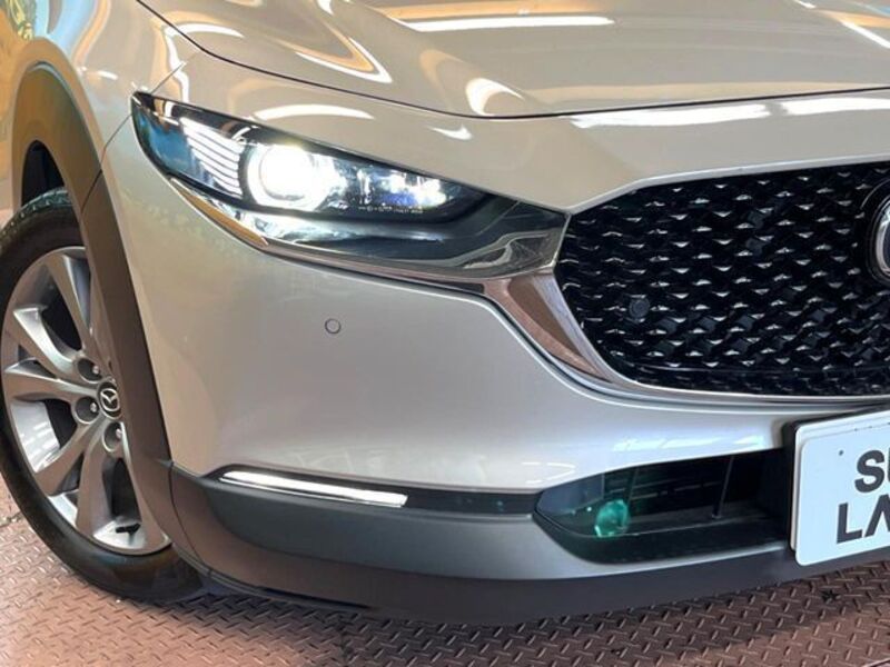 CX-30